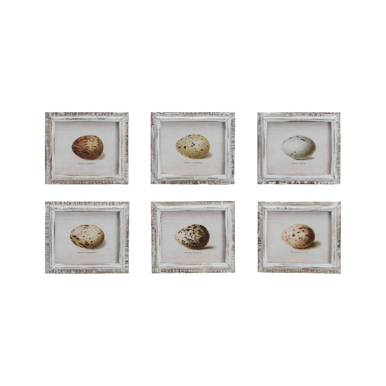 Hello Honey® 8.25" x 7" Rustic Elegance Egg Print Series Wall Décor Set